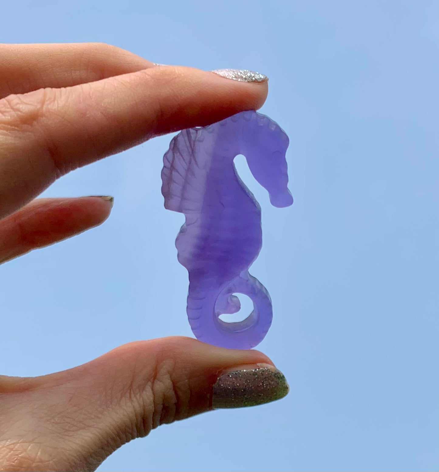 Fluorite Sea Horse