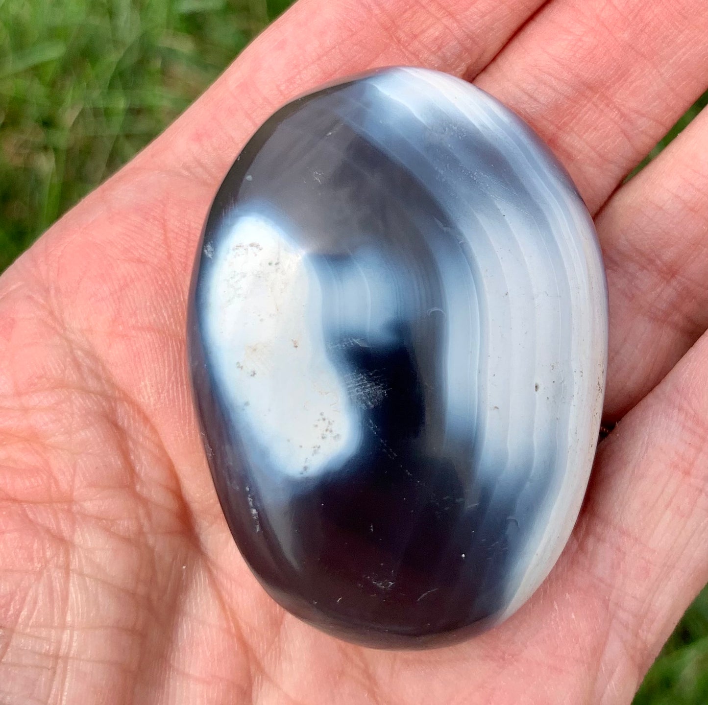 Orca Agate Palm