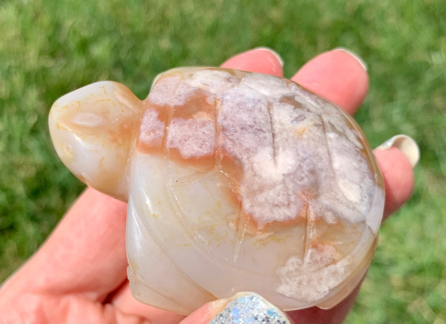 Flower Agate Turtle