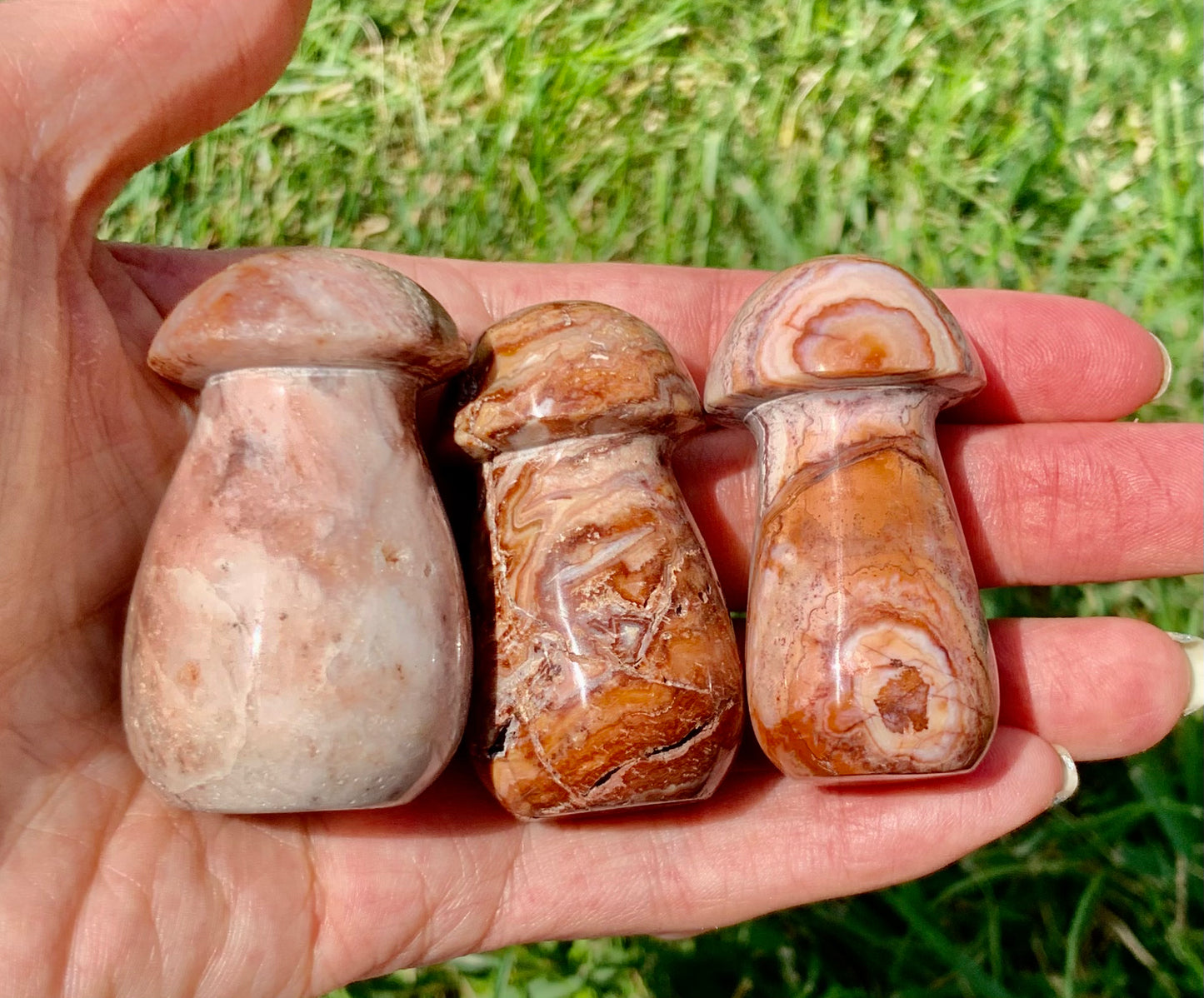 Crazy Lace Agate Mushroom