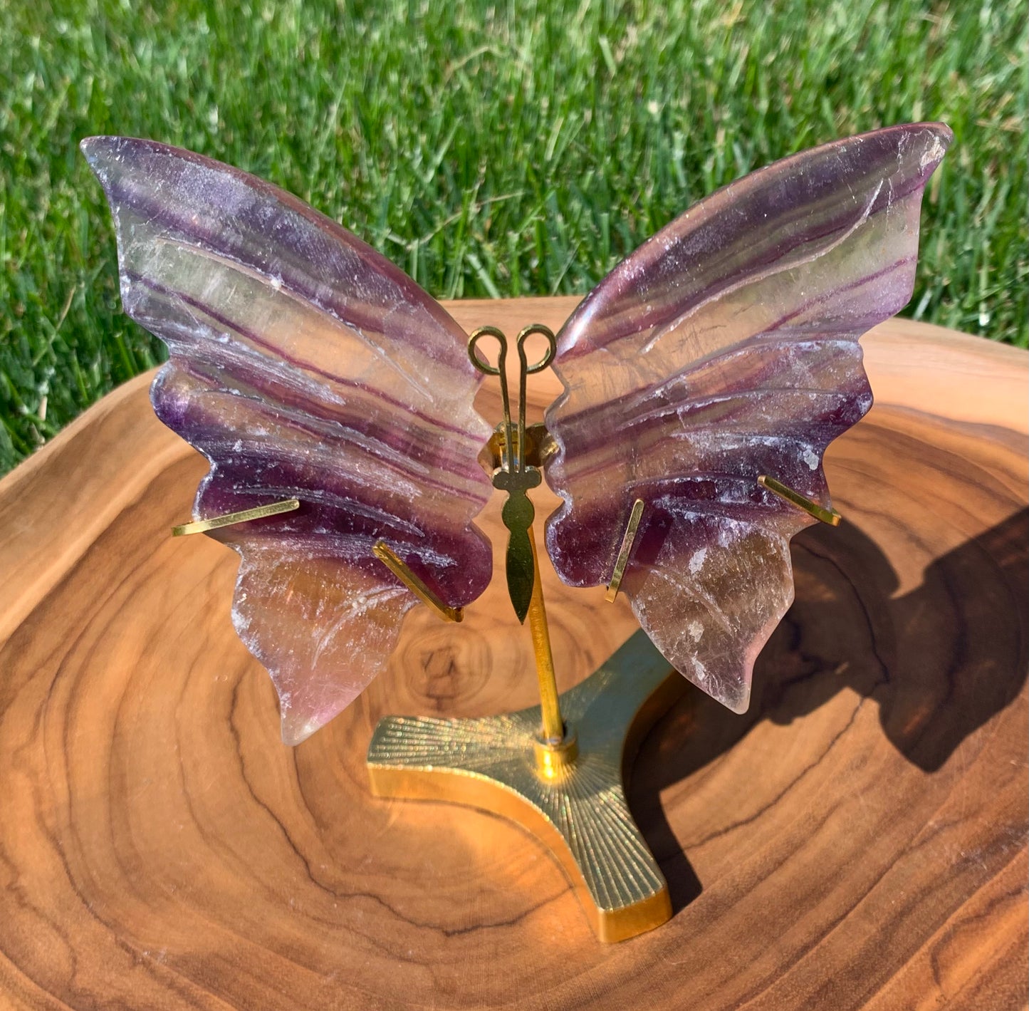 Fluorite Butterfly Wings