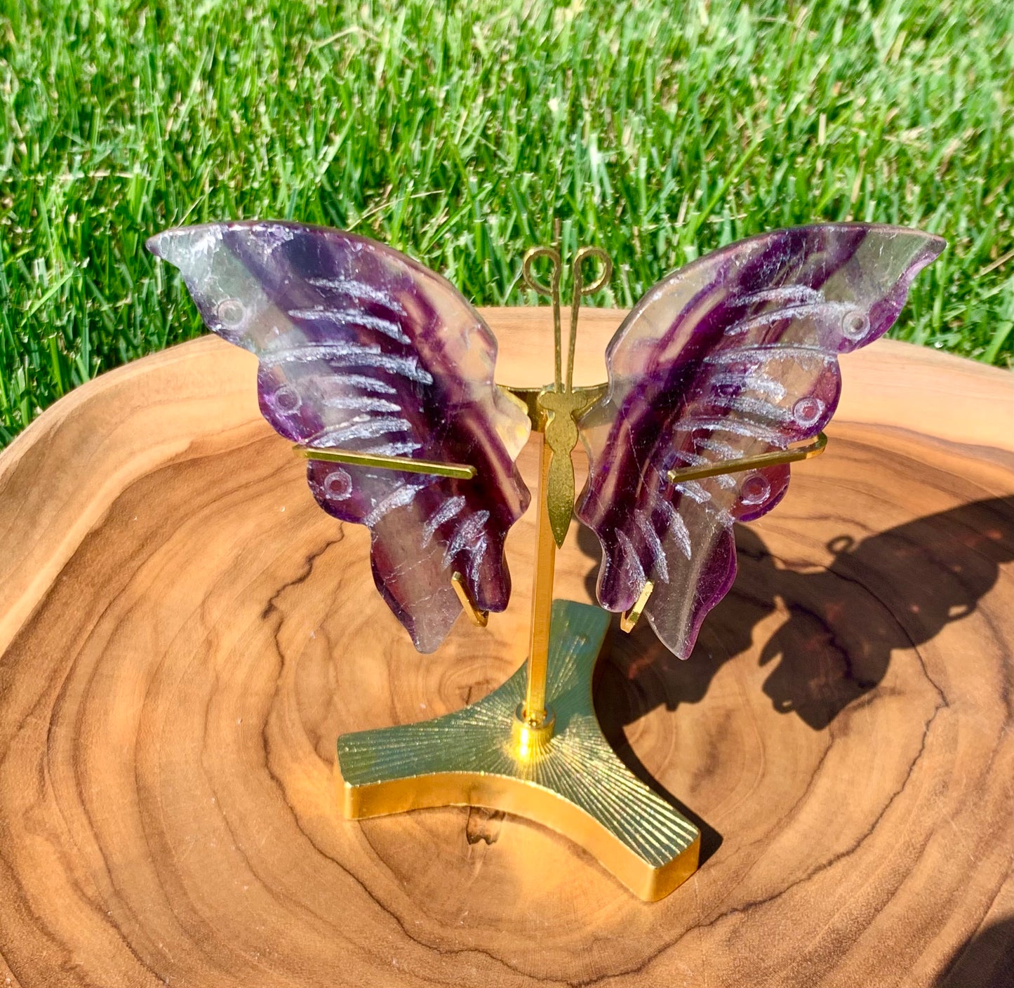 Fluorite Butterfly Wings