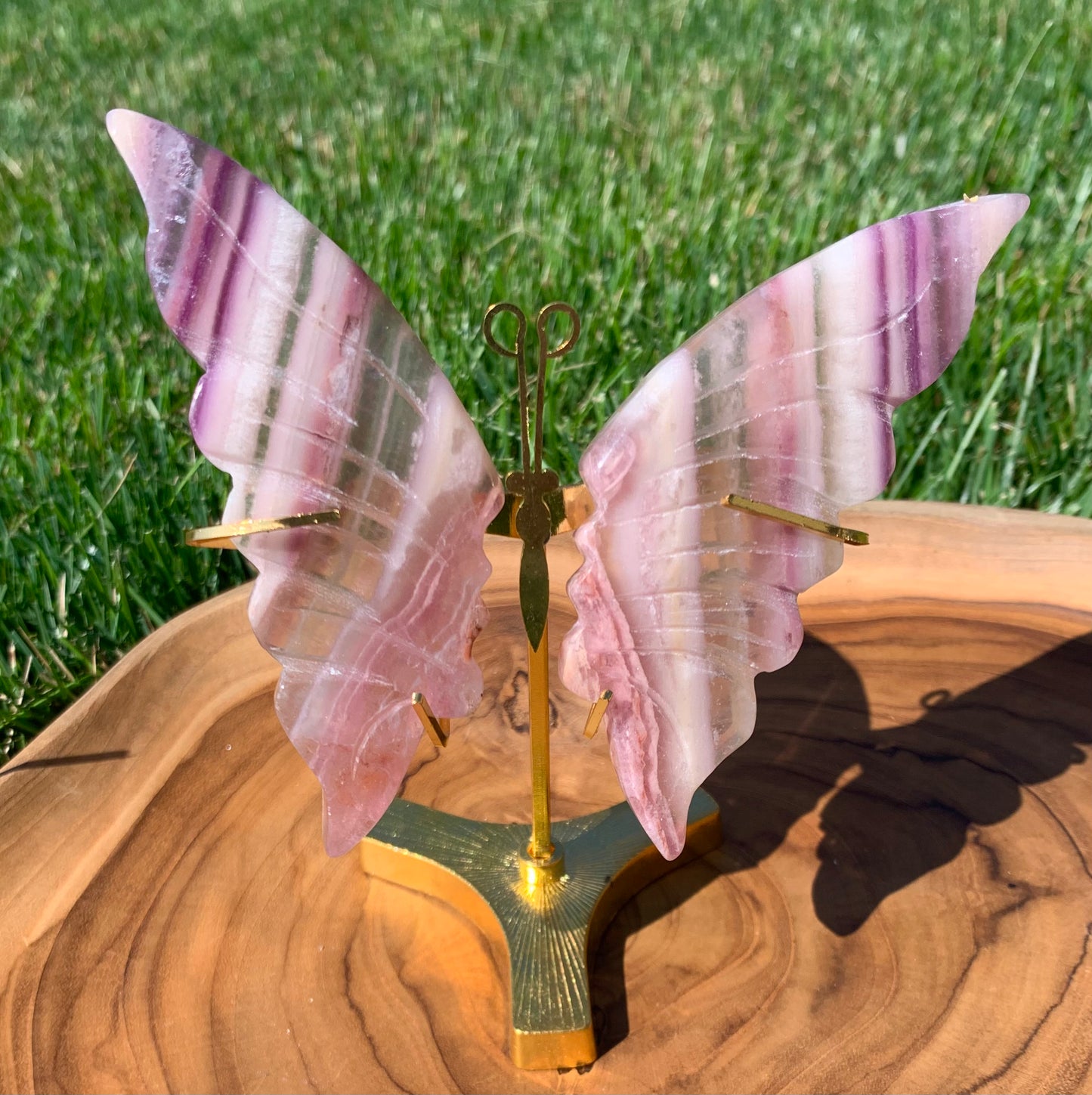 Fluorite Butterfly Wings
