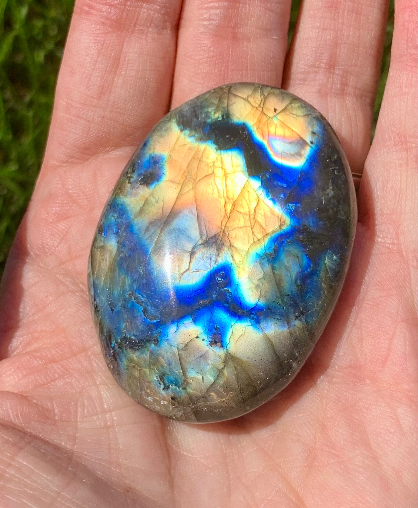 Labradorite Palm
