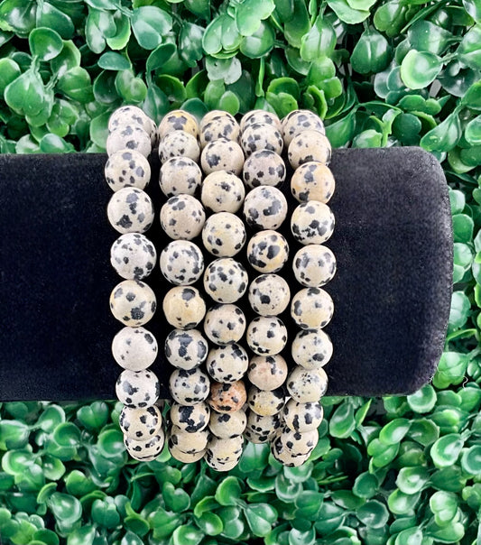 Dalmatian Jasper Bracelet