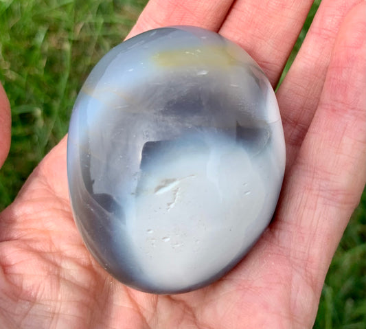 Orca Agate Palm