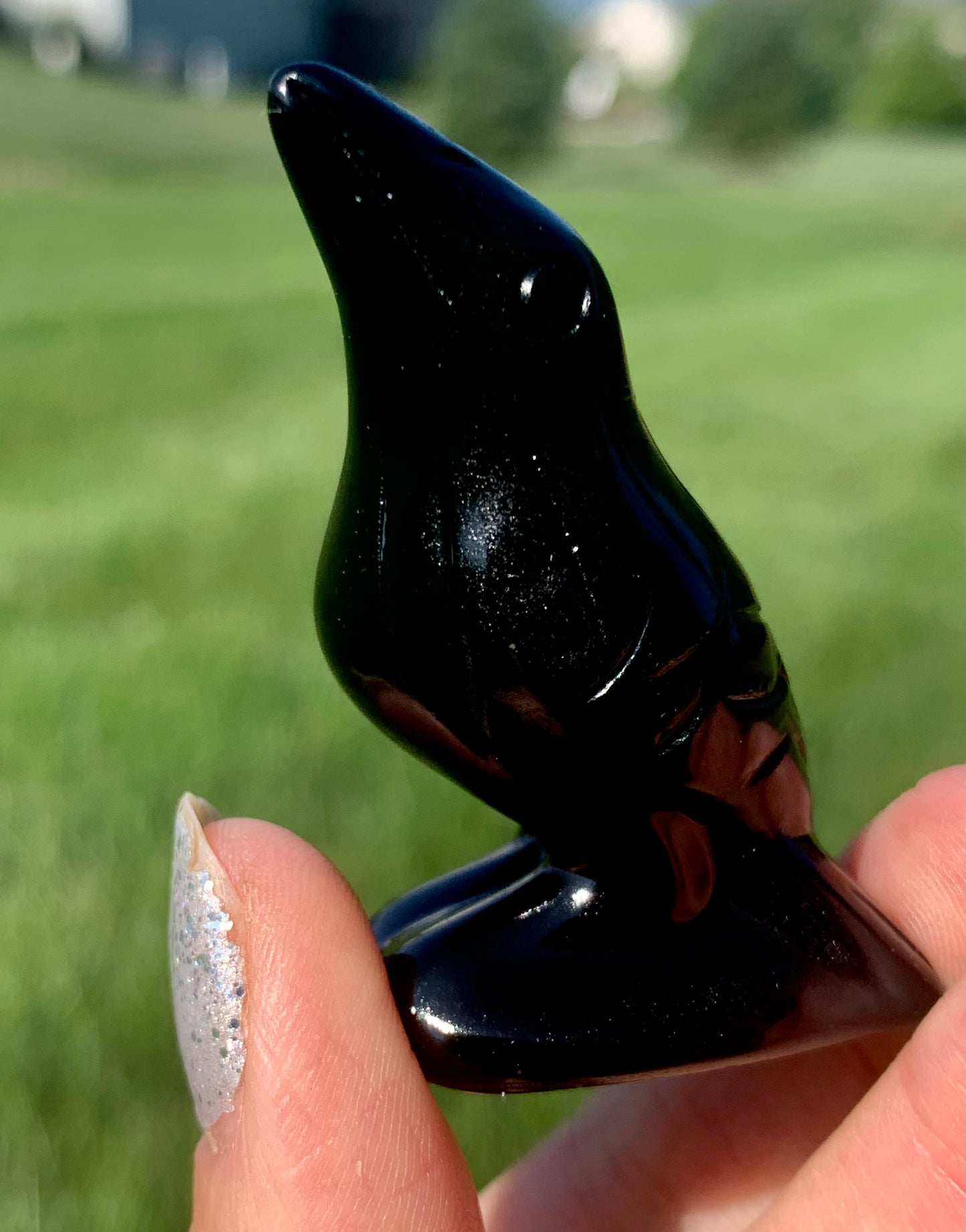 Black Obsidian Crow